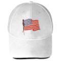American Waving Flag (WHT)