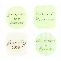 Sage Resin Stickers 4Ct