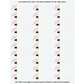 Greetings Holly Address Labels