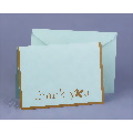 Aqua Mod Thank You Cards