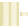 Umbria Business Cards