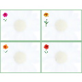Daisies 4 Up Postcard