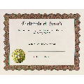 Award Stock Certificate