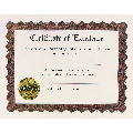 Excellence Stock Certificate