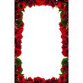 Red Roses Border Bulletin
