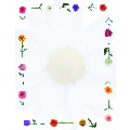 Daisies Letterhead