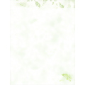 Sage Letterhead