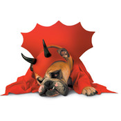 Zelda Devil Pet Small