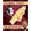 NCAA Florida State U Seminoles 14" x 20" Poster