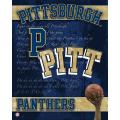NCAA U Pittsburg Panthers 14x20 poster