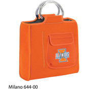 University of Illinois Milano
