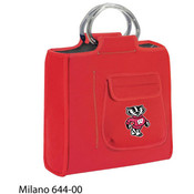 University of Wisconsin Milano