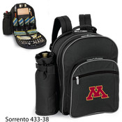 University of Minnesota Sorrento