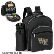 Wake Forest University Sorrento
