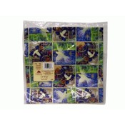 Dayspring Peace Noel Christmas Gift Wrap
