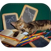 Fellowes Chalkboard Cat Optical Mouse Pad