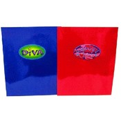 Assorted Girls Attitude 2 Pocket Portfolio Folders