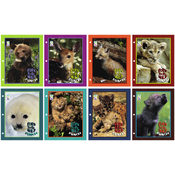 Born To Be Wild Folders