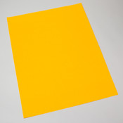 Fluorescent Orange Poster Board 22x28