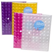 Plastic Envelope Portfolio