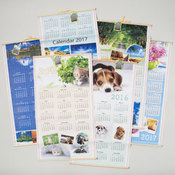 2009/2010 Scroll Wall Calendar