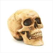 Skull Head Figurine