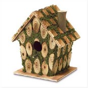 Moss-Edged Bird House
