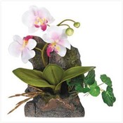 Everlasting Orchid Wall Decor
