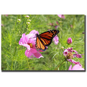 Spring by Cary Hahn-18x24 Canvas Art Ready to Hang