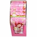 Strawberry Shortcake Ice  Packs