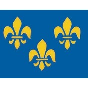 Perma-Nyl 3'x5' Nylon Fleur De Lis Flag