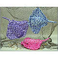 21" Spotted Sting Ray, 3 Asst.