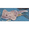 12" Sting Ray