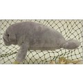 12" Manatee