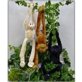 Hanging monkeys