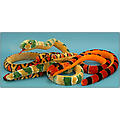 54" Thick Snake,  3 Asst. Patterns