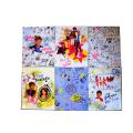 Assorted Disney HSM High Gloss Portfolios