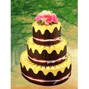 Rustic Country Favor Cake-Unassembled