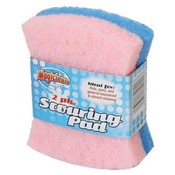 2 Pc Scouring Pads